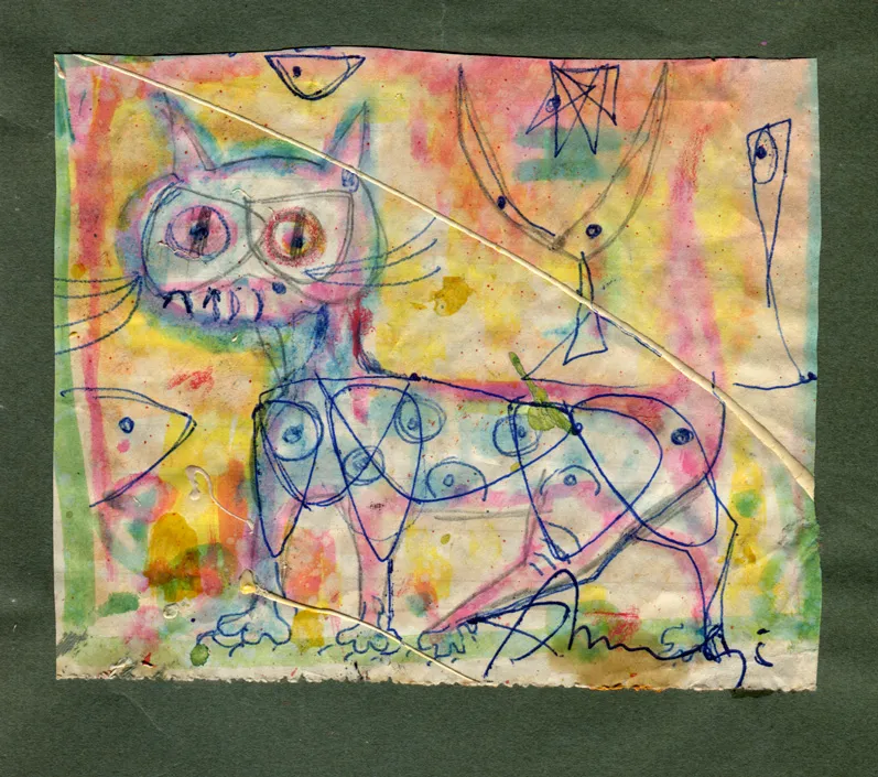 Animal - Cat