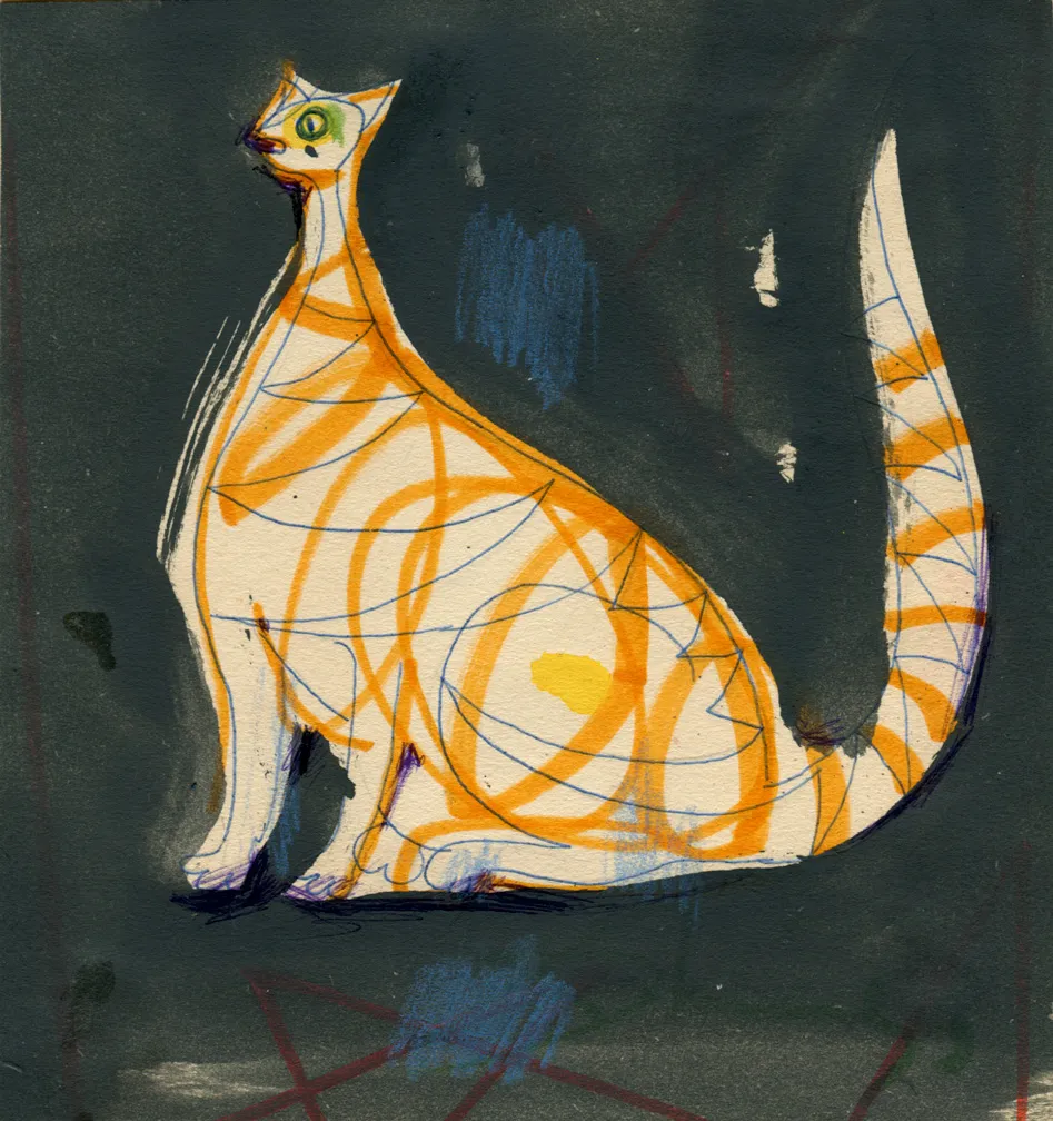 Animal - Cat