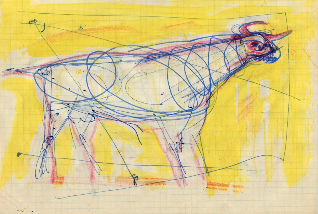 Animal - Bull