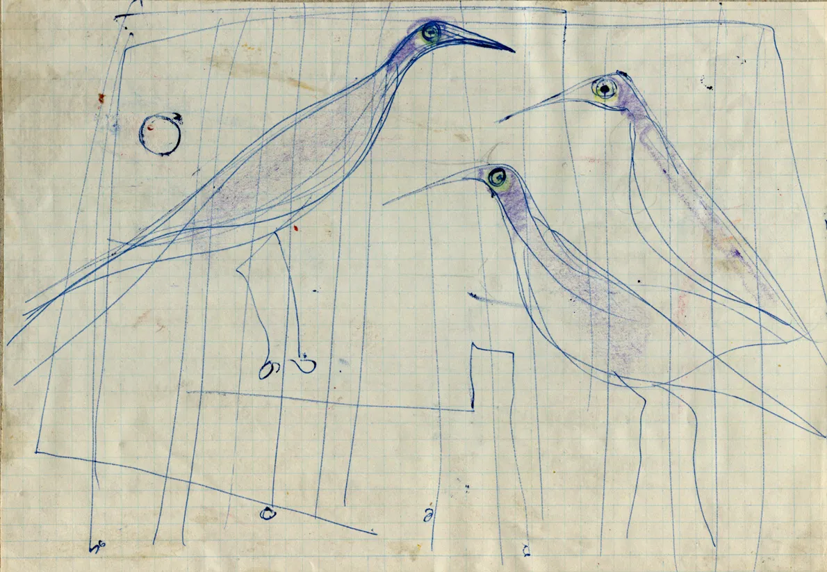 Animal - Bird