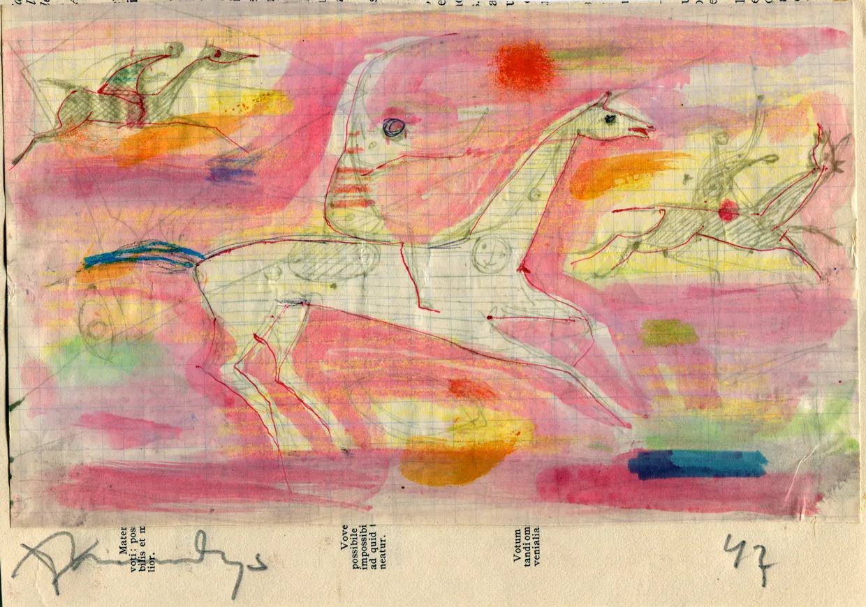 Animal - Horse - Man