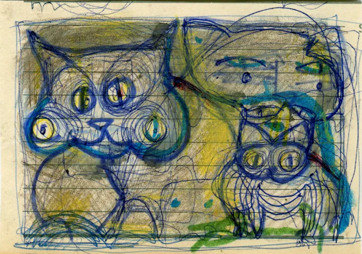 Animal - Cat