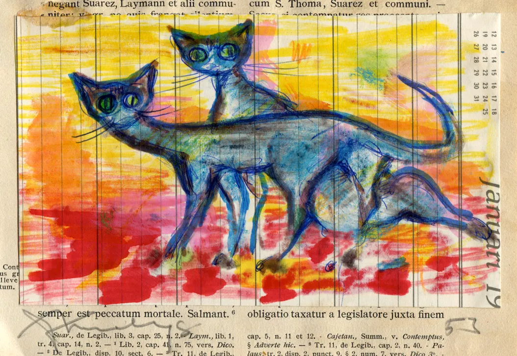 Cat - Dated - North-Africa - Signed